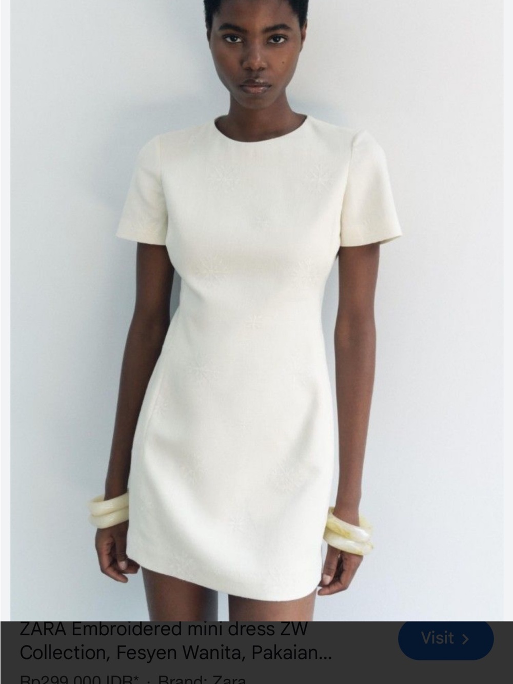 Brand new Zara embroidered dress